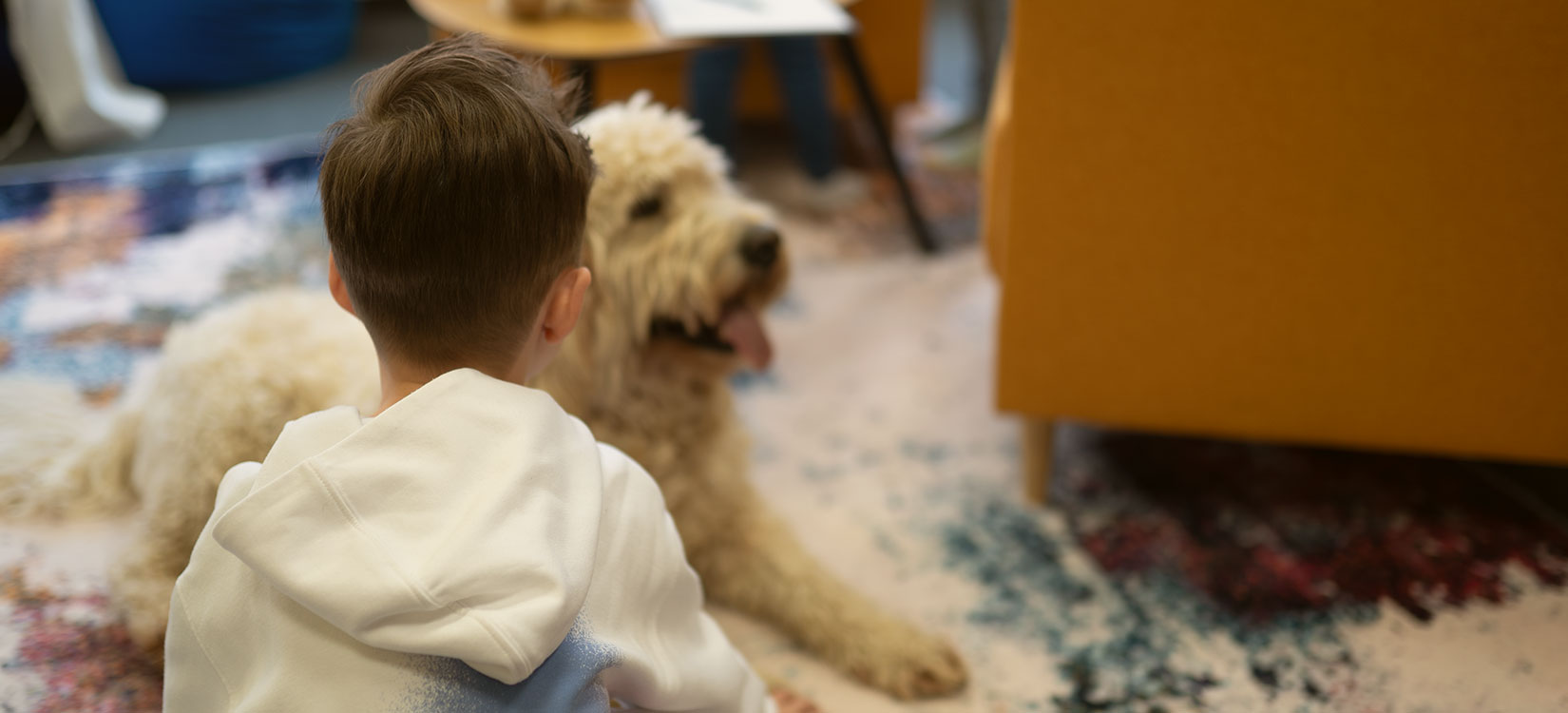 Junge von hinten fotografiert, schaut auf Hund